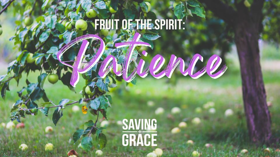 Fruit of the Spirit, Patience