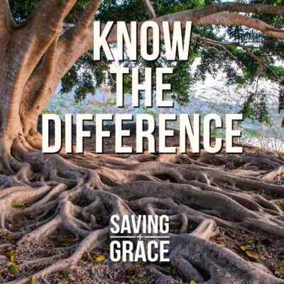 Know The Difference, #KnowTheDifference #RelationshipWithGod #FellowshipWithGod #CloserToGod #IntimacyWithGod #passionforthewordofgod #savinggrace #savinggracepodcast #savinggraceonradio #gracecenteronline #graceschooloftheology #salemradio #salemnetwork #carmenpate #daveanderson