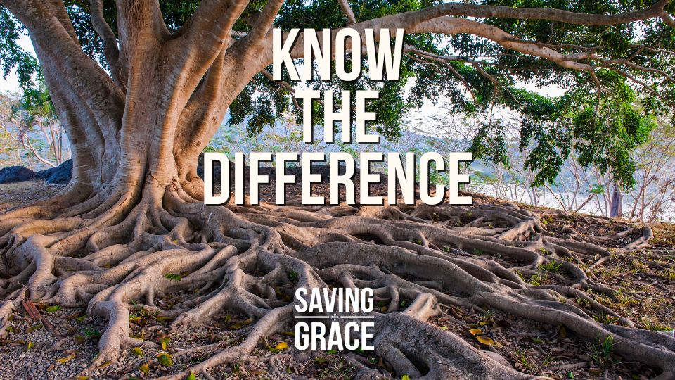 Know The Difference, #KnowTheDifference #RelationshipWithGod #FellowshipWithGod #CloserToGod #IntimacyWithGod #passionforthewordofgod #savinggrace #savinggracepodcast #savinggraceonradio #gracecenteronline #graceschooloftheology #salemradio #salemnetwork #carmenpate #daveanderson