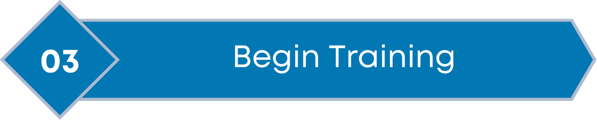 Step 3: Begin Training